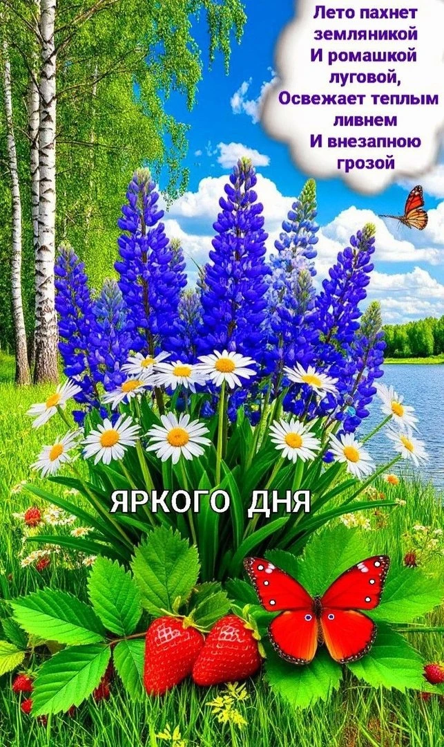 С добрым летним утром!