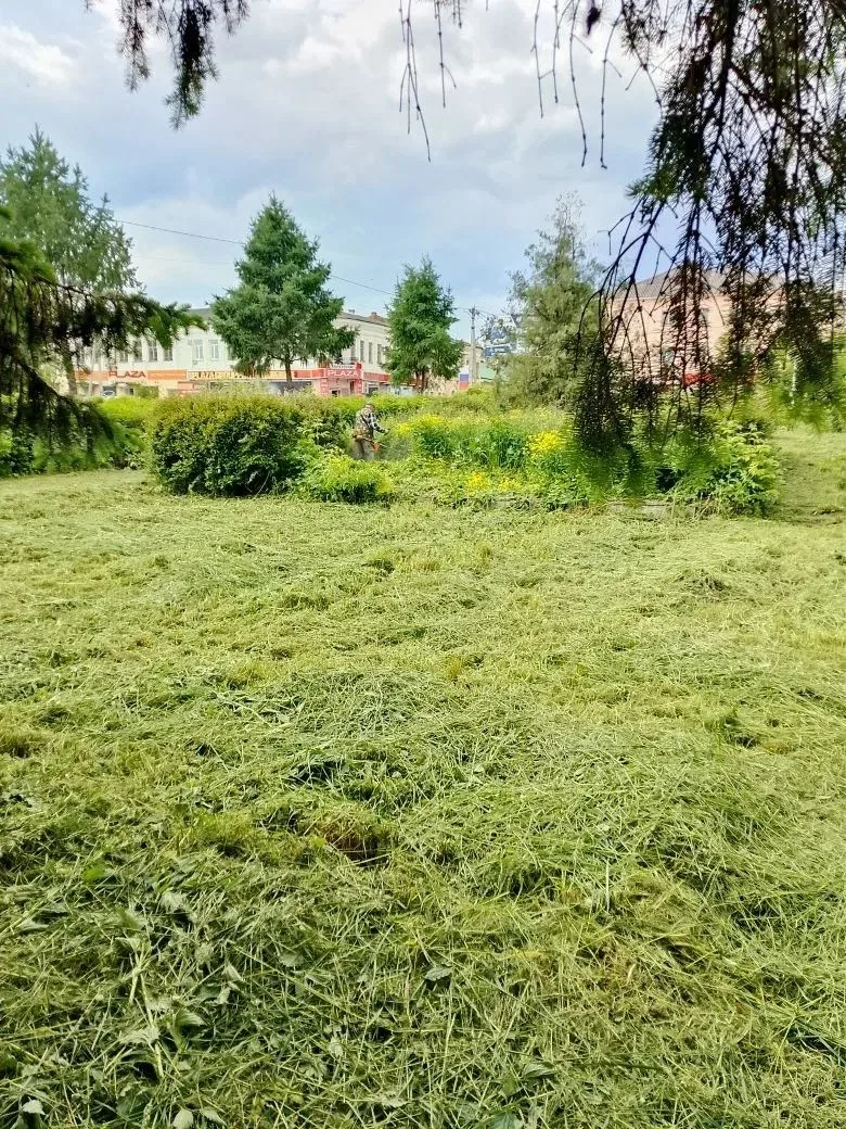 🧹 В БЕЛЁВЕ ПРОДОЛЖАЮТ НАВОДИТЬ ПОРЯДОК