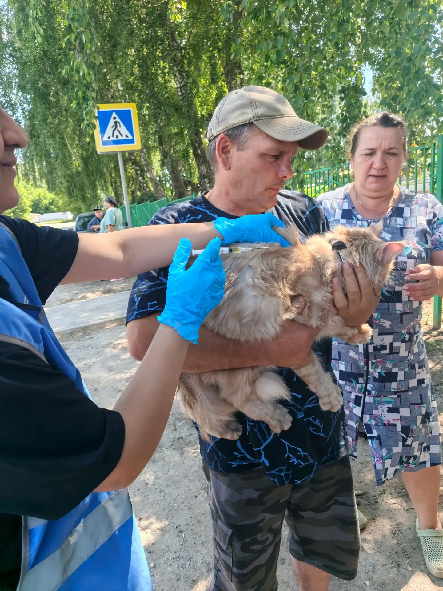 В прошедшие выходные сотрудники станции провели вакцинацию собак и кошек против бешенст...