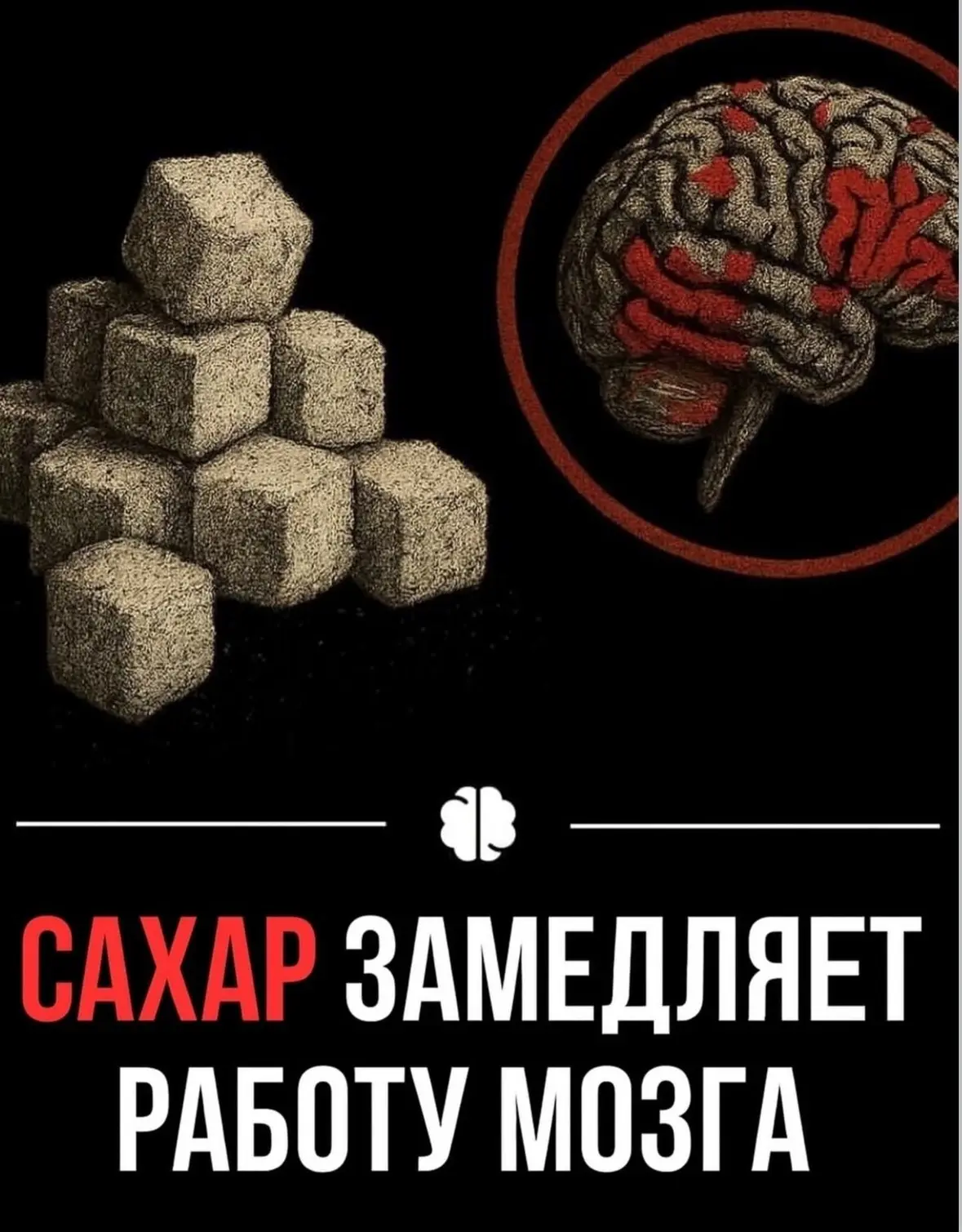 Что замедляет работу мозга 🧠