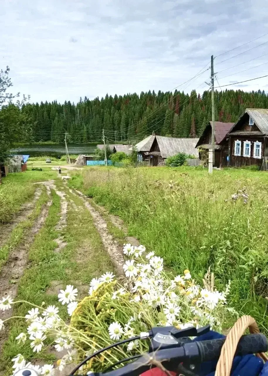 Посёлок Курашим