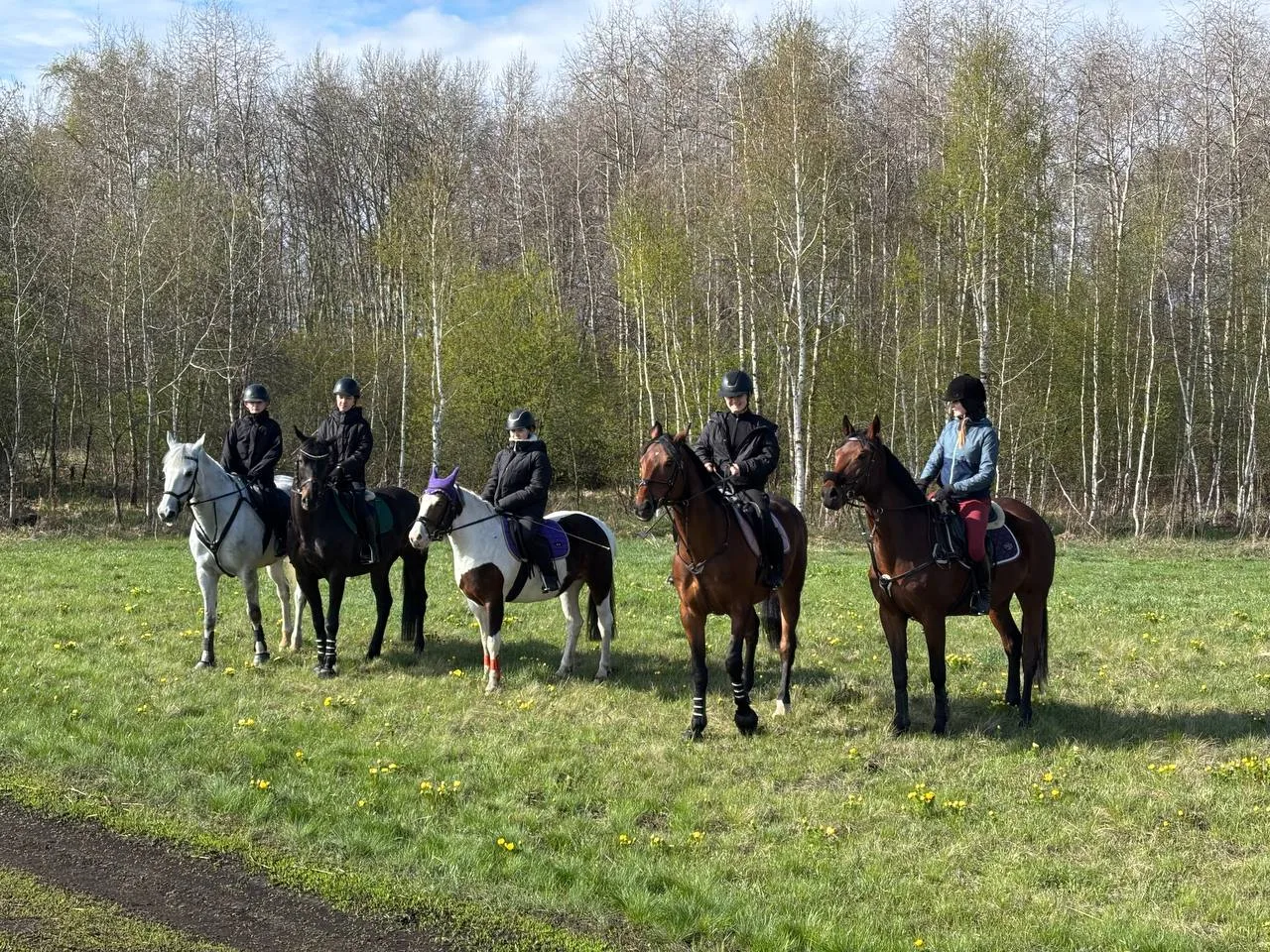🐎Соревнования позади, и мы хотим поделиться тем, как наши спортсмены и их лошади восст...