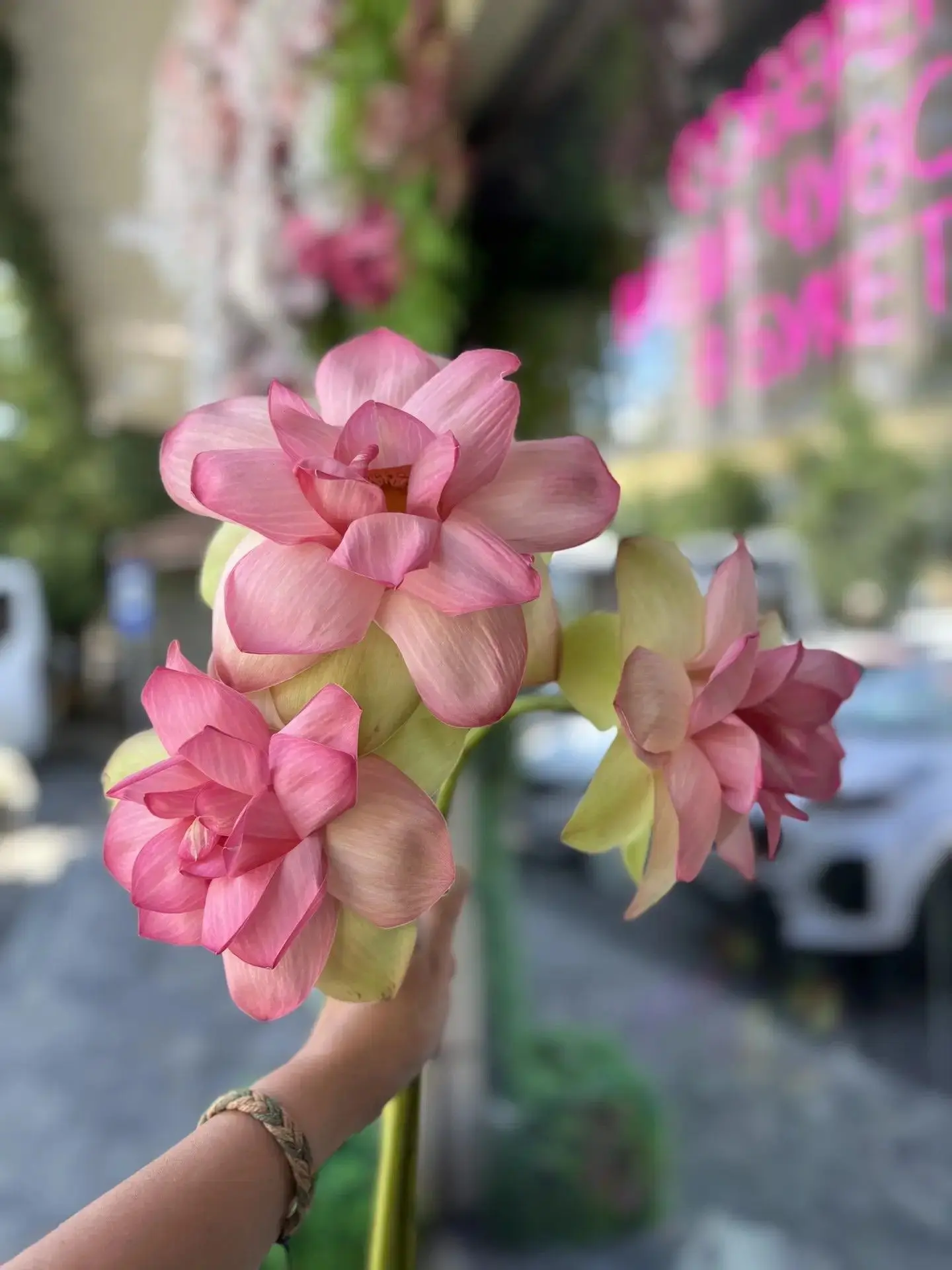🌸 Лотос — цветок с особенной историей.