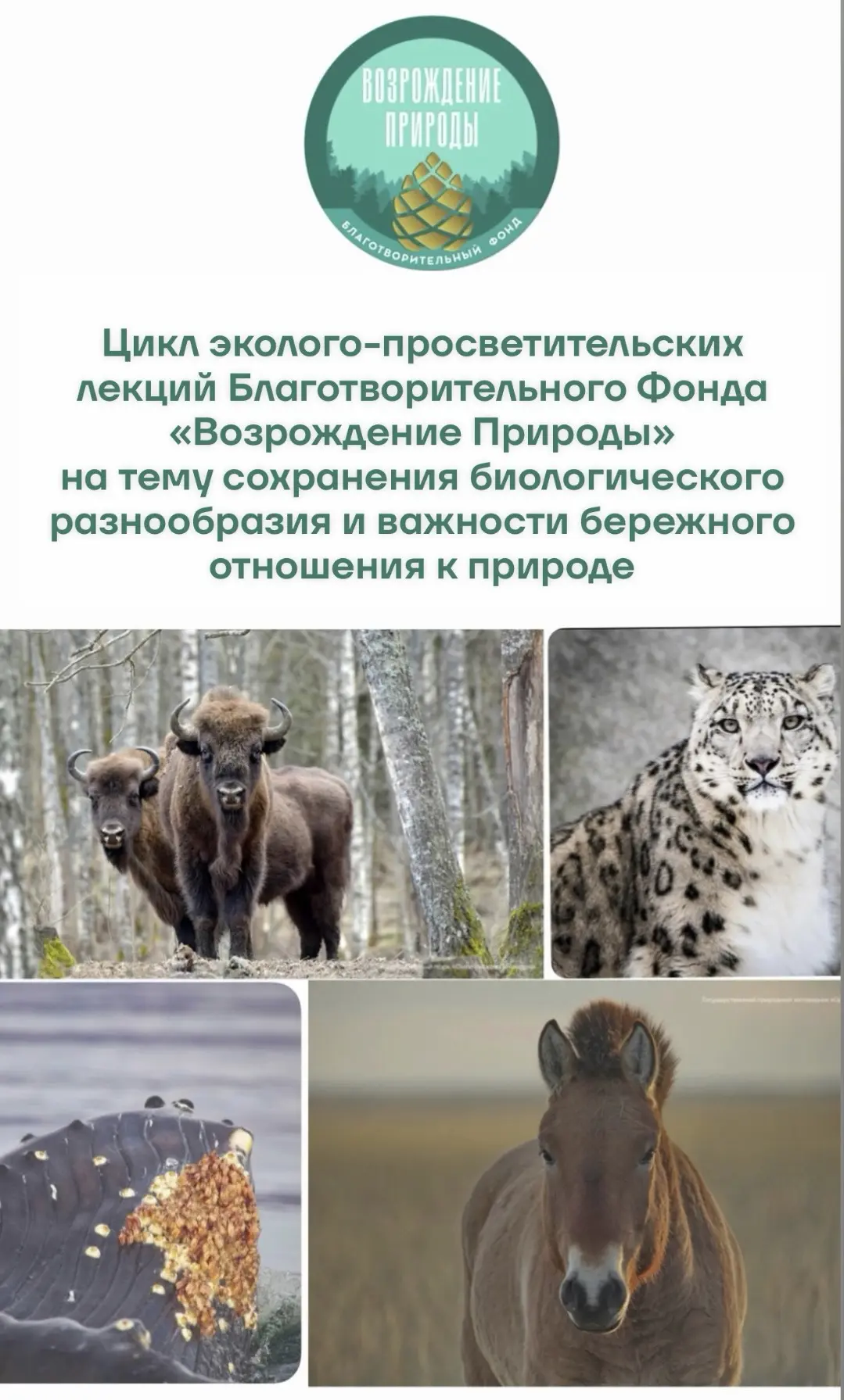 Дорогие друзья!