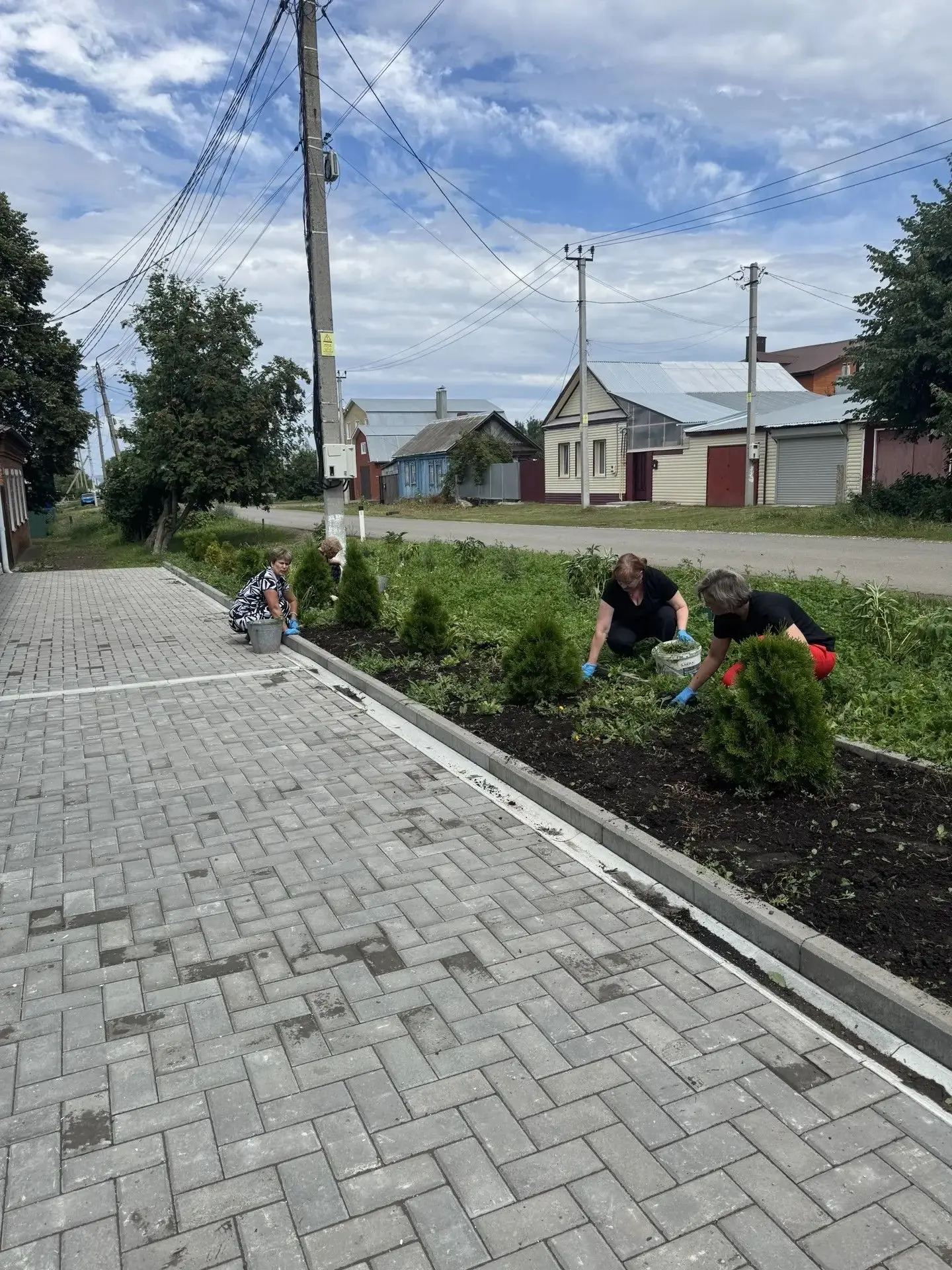 Специалисты ветеринарного объединения пропололи от травы прилегающую территорию. Сорняк...