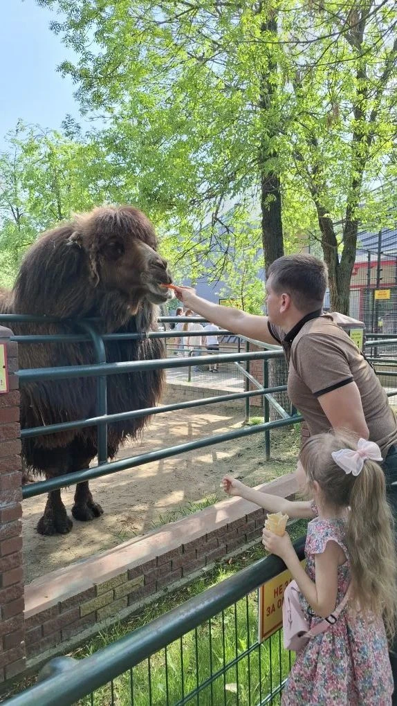 🦁 Нижний Новгород + «Лимпопо»: один день — целая коллекция впечатлений!
