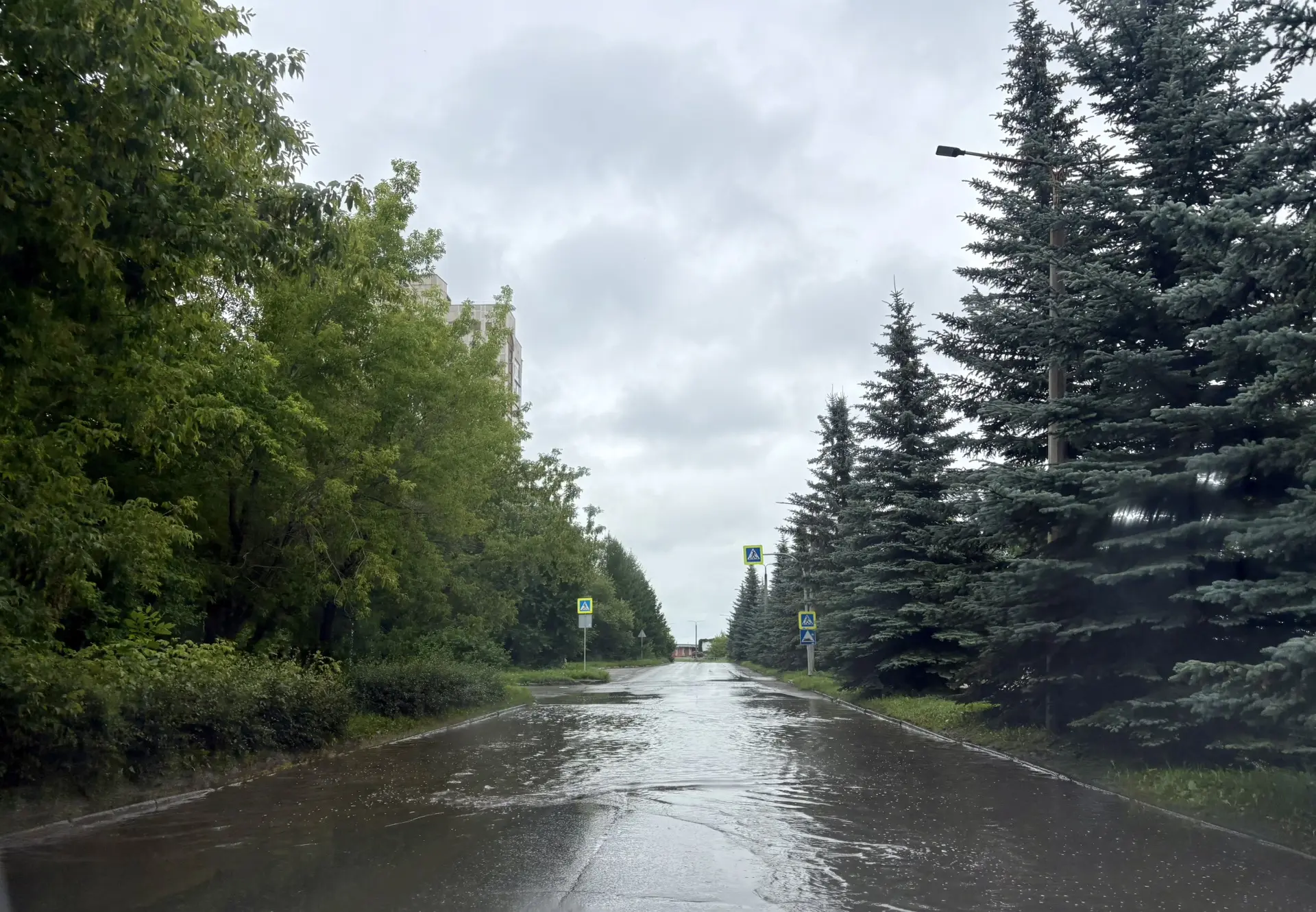 На Гайдара все стабильно💦