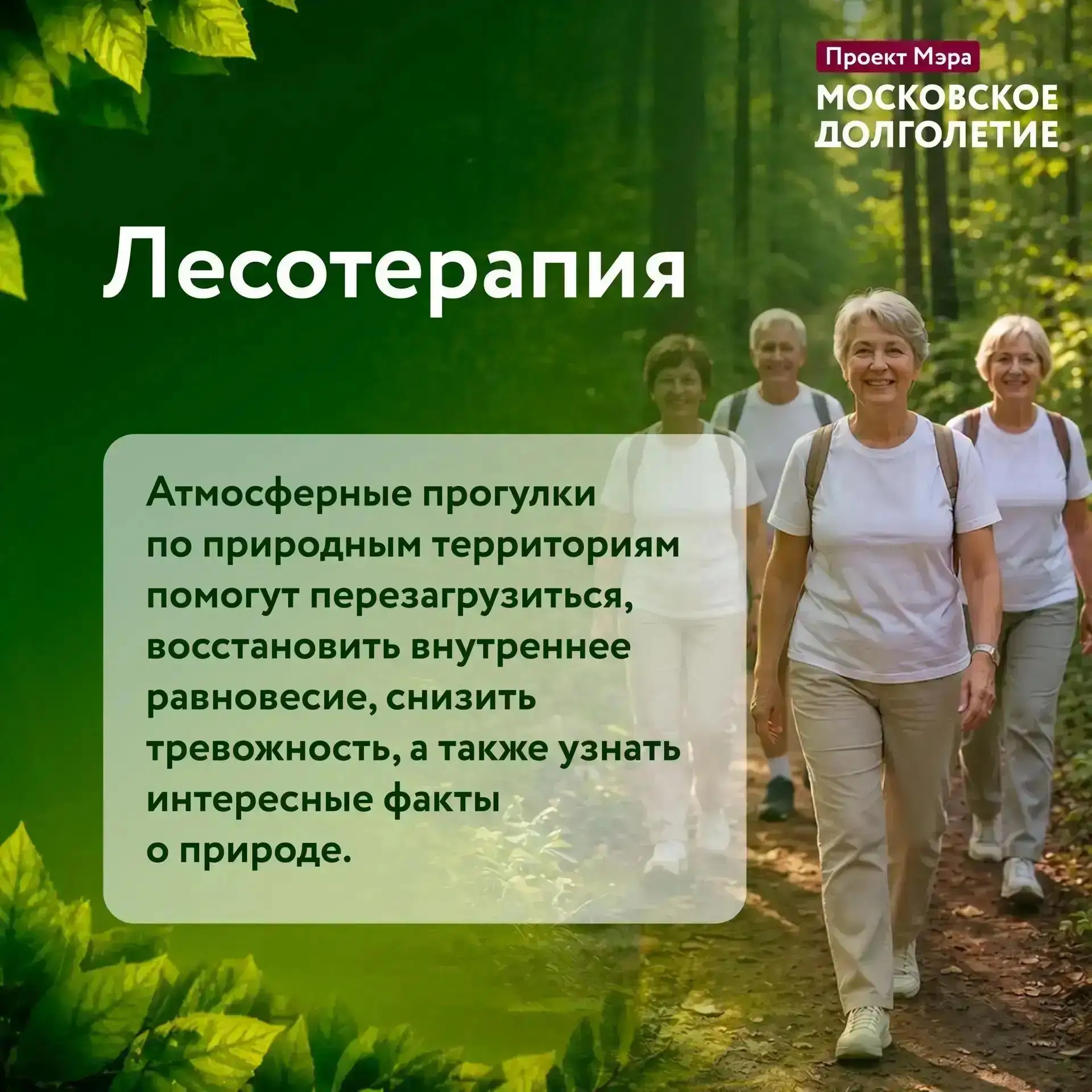 🌿 Отдохните от городского шума и откройте для себя мягкий способ восстановления внутре...