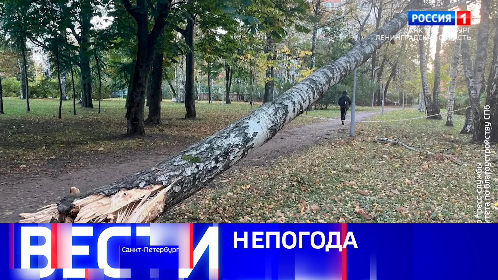 📺Вести Санкт-Петербург. Выпуск 21.10 от 07.10.2026