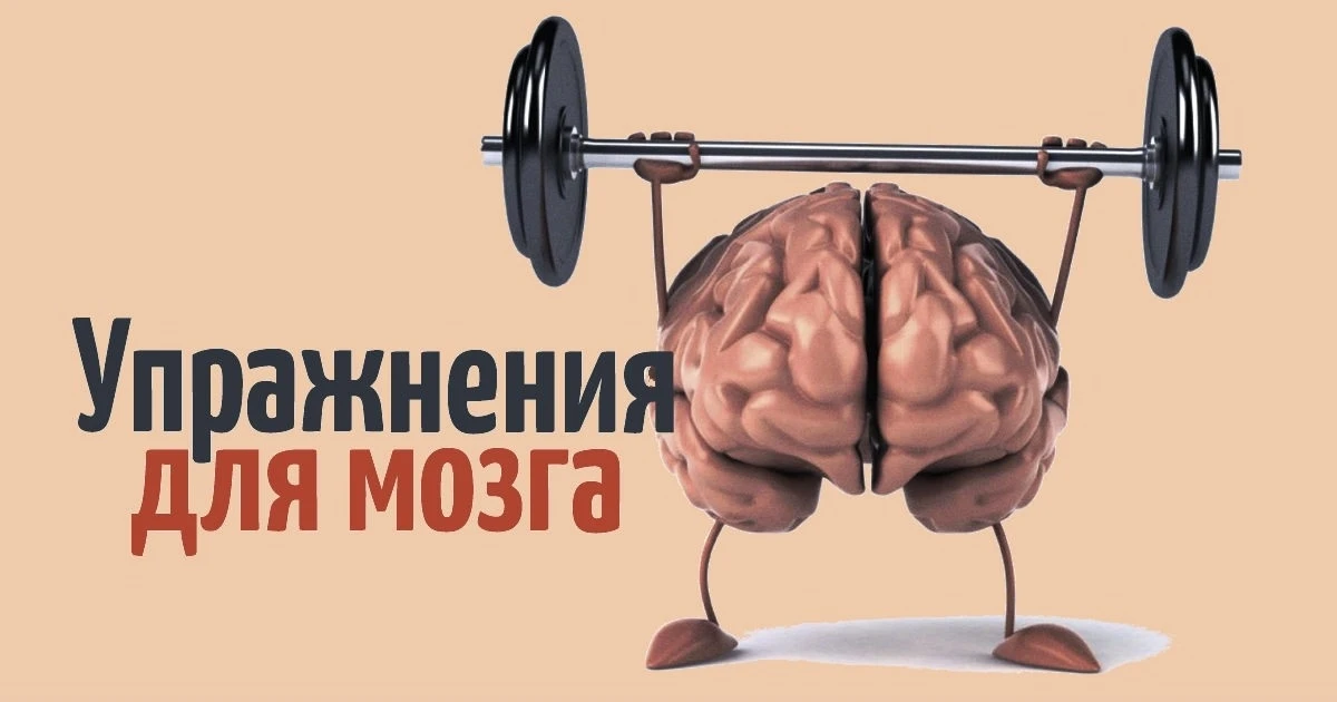 ‼ Неделя сохранения здоровья головного мозга ‼