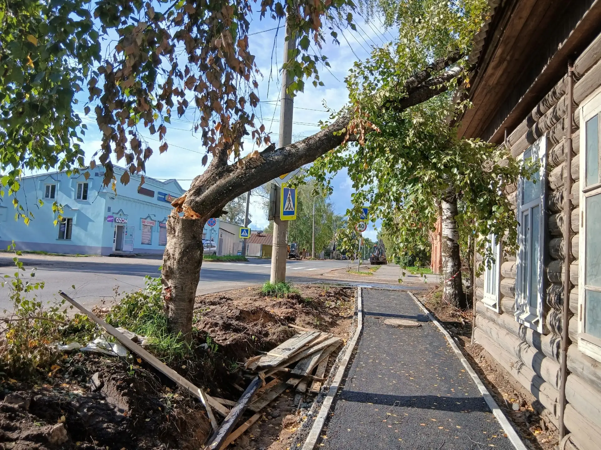 🌳 Дерево чуть было не упало на тротуар у перекрёстка Красная — Кирова!