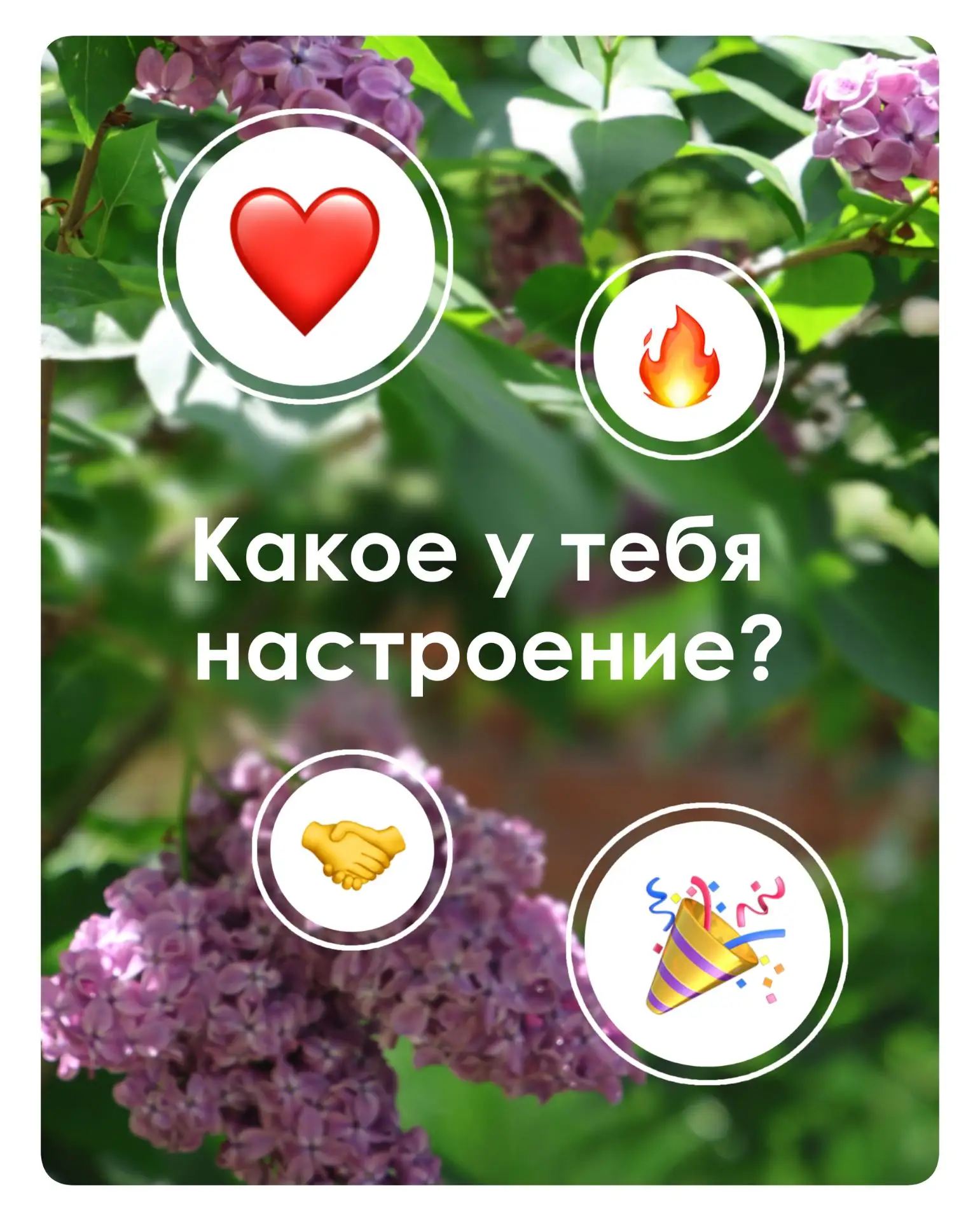 👏 Абитуриент-2026, какой настрой? 

🫣 Экзамены позади, а результатов ещё нет. Это время, когда тел