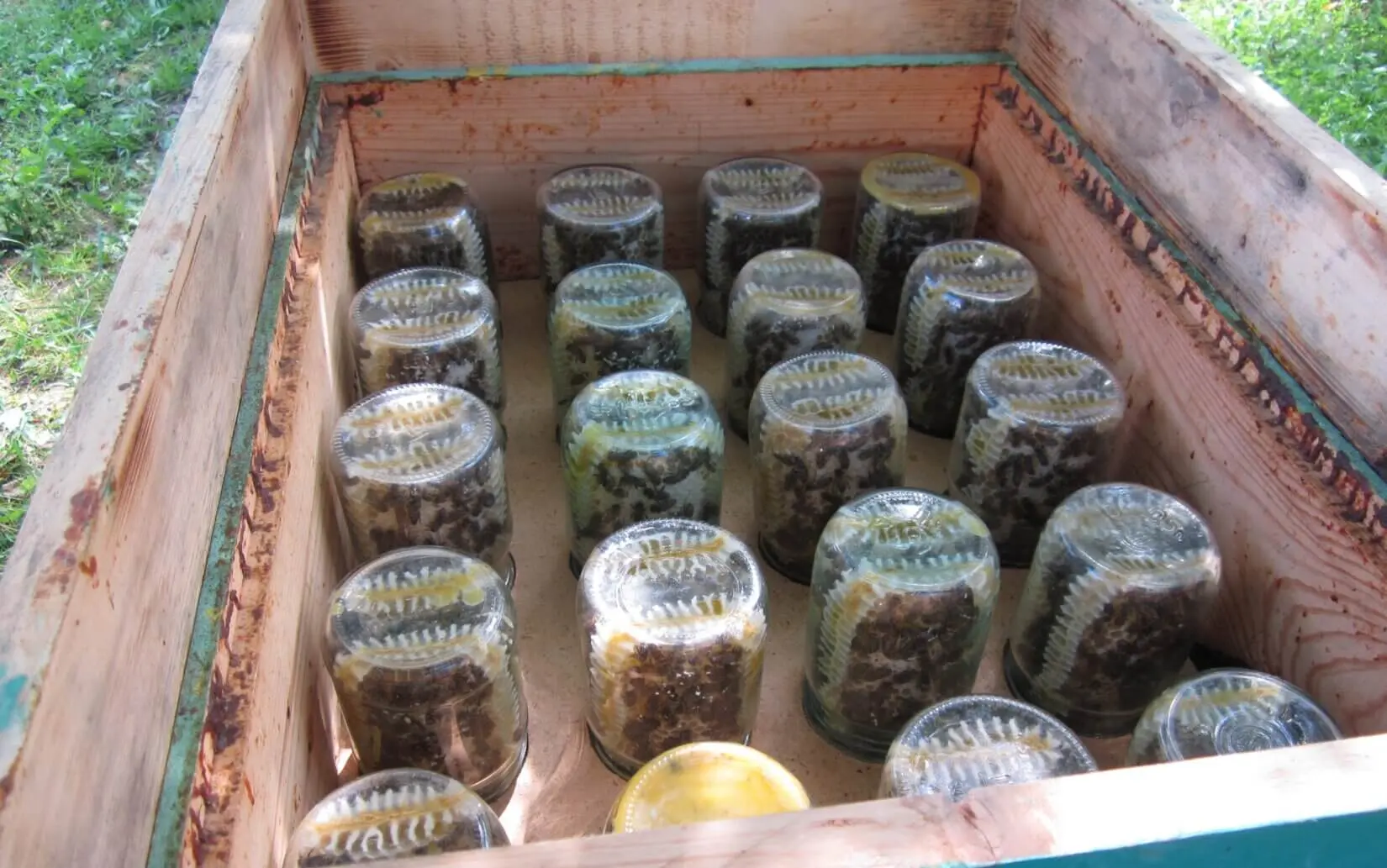 Банки под сотовый мед🍯