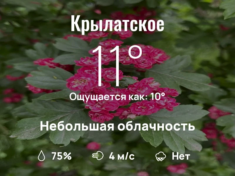 Что с погодой в Крылатском?