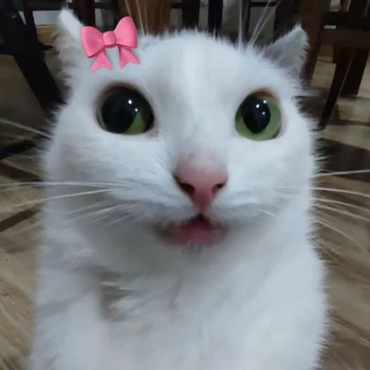 *мы бро?