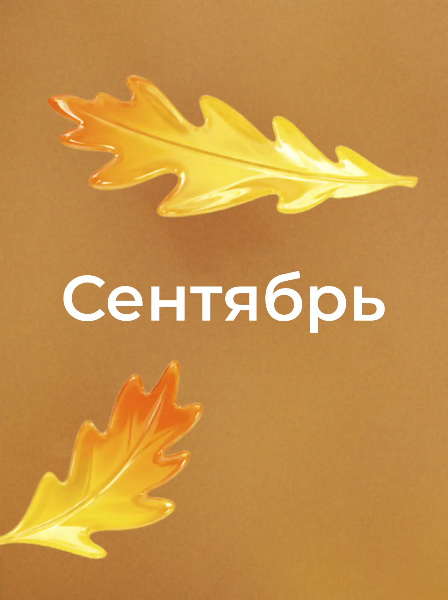 🍂СЕНТЯБРЬ В ТРК «НЕБО» 🍂