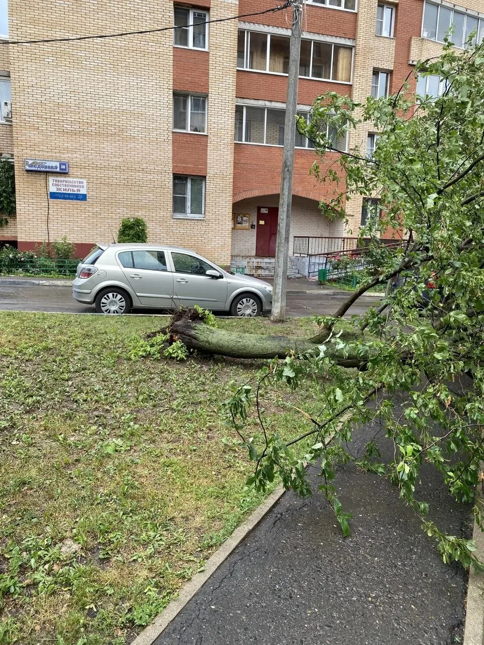 Коммунальные службы продолжают устранять последствия непогоды.

На фото упавшее дерево Федорова 38.