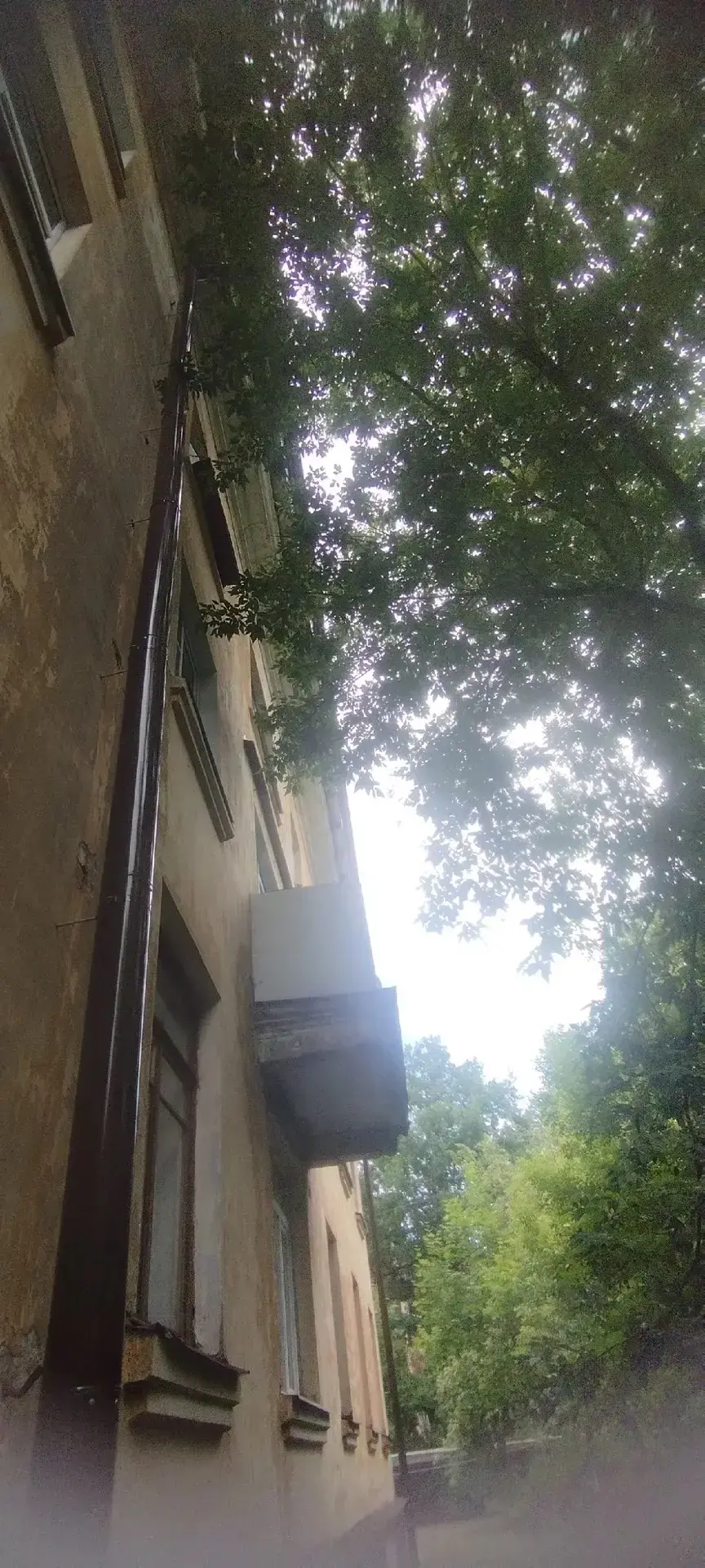 💬 От подписчика: