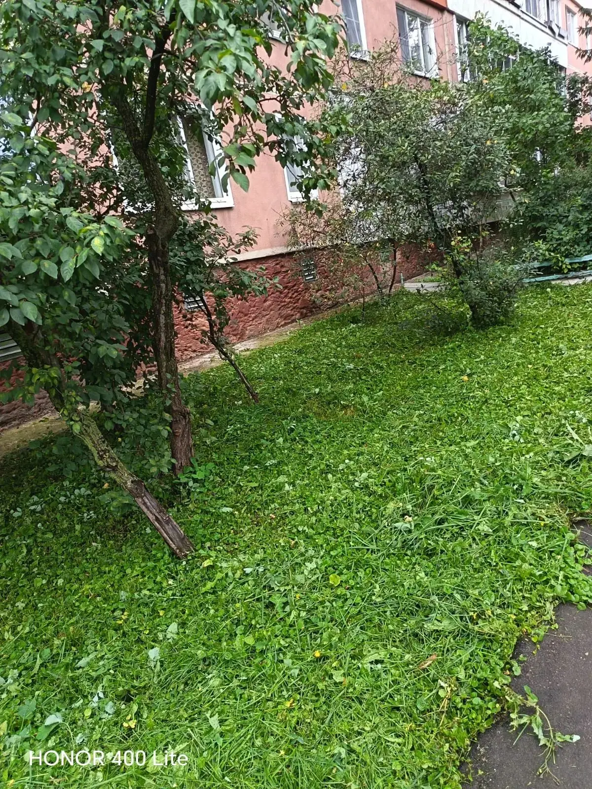 🏡 О выполненных работах по благоустройству 18.08.2026 Бондаренко 23