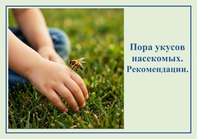 Памятка «КАК ЗАЩИТИТЬСЯ ОТ УКУСОВ НАСЕКОМЫХ ЛЕТОМ»
 ☀️Лето — время прогулок, но вместе с солнышком н
