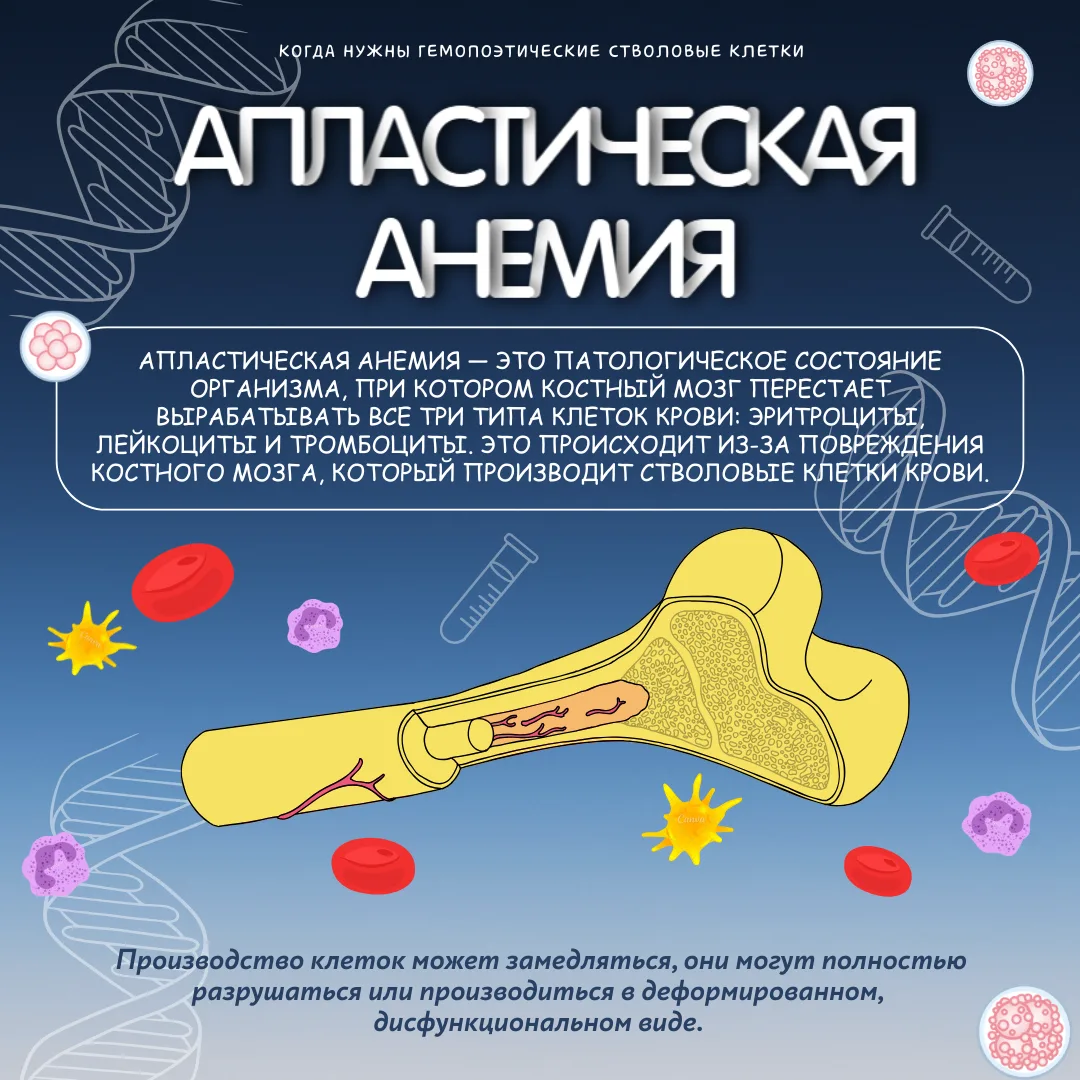 Спасти жизнь и найти своего генетического близнеца  🩸Продолжается неделя популяризации донорства кро