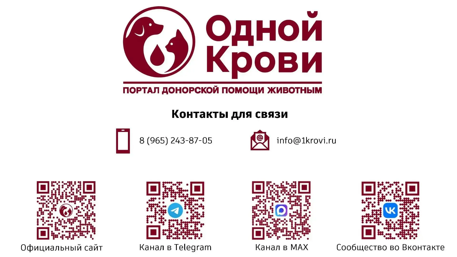 🩸Донорство для животных
