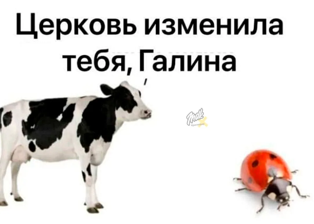 Кубань укрепила лидерство по производству молока в России