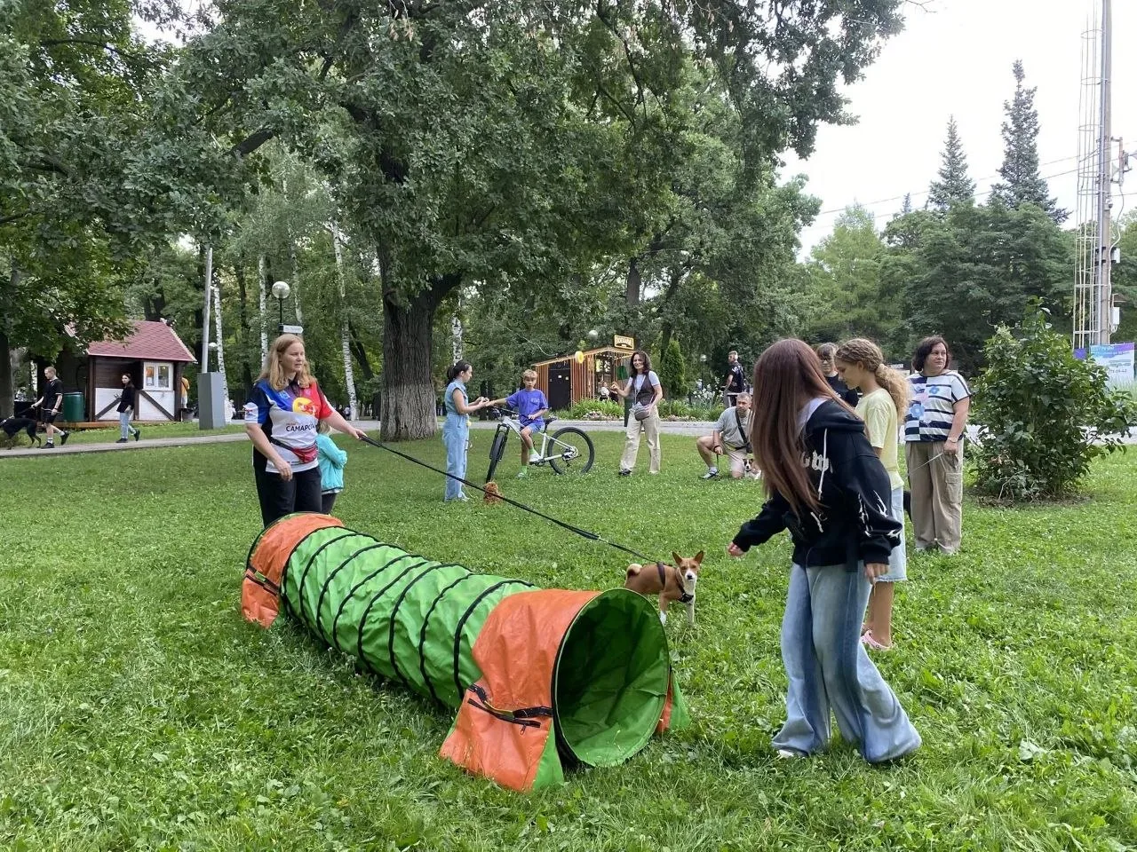 🐩 В парке Гагарина проводят бесплатные тренировки по аджилити в рамках городского проекта «Самара в
