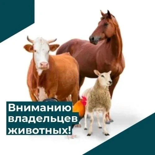 Вниманию владельцев домашних животных!
Северо-Западное межрегиональное управление Федеральной службы