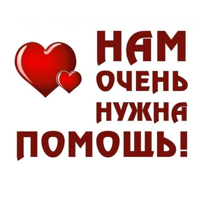 Дорогие наши подписчики, друзья и благотворители!