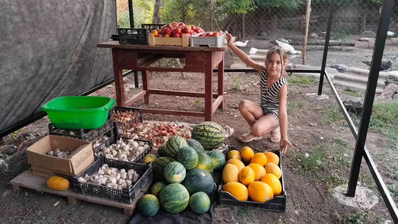 Конкурс «Вкус августа и сентября». Номинация «Фото изобилия»