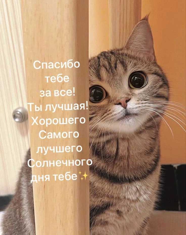 Добрый день

❤️😍🔥👍 — ставьте реакции, пересылайте друзьям и близким 
                 
💌Открытки