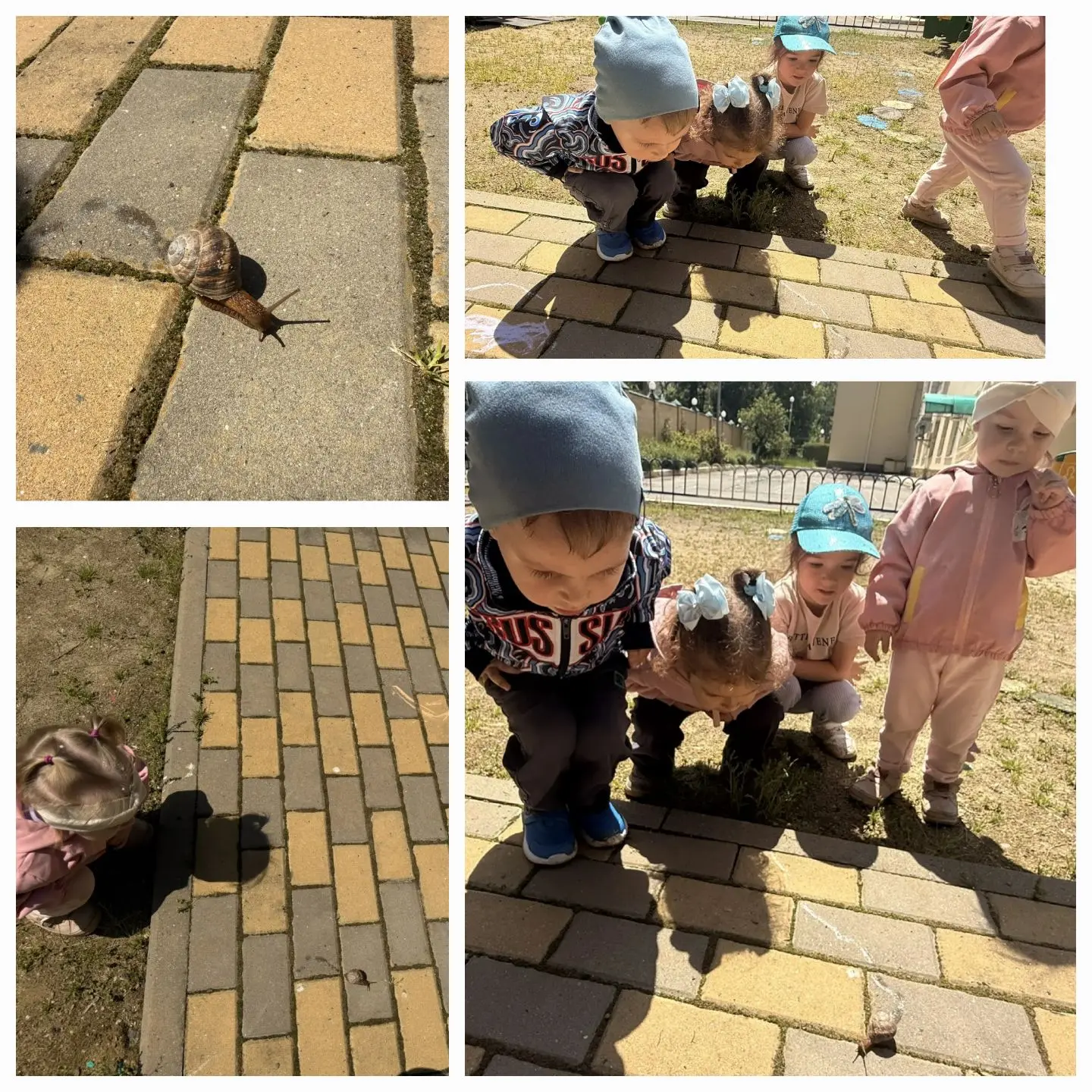 🐌 Маленькое чудо на прогулке!