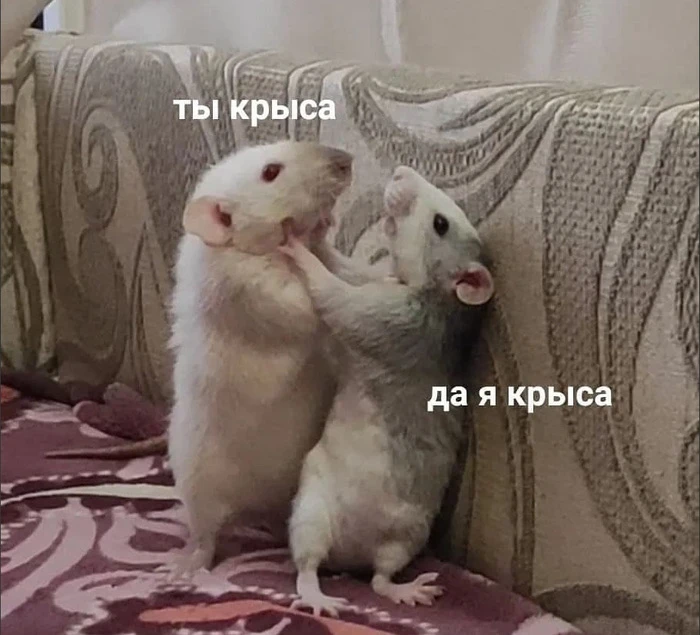 Самая вечная и смешная для шутка — про медведя. Который шёл по лесу, увидел горящую маш...