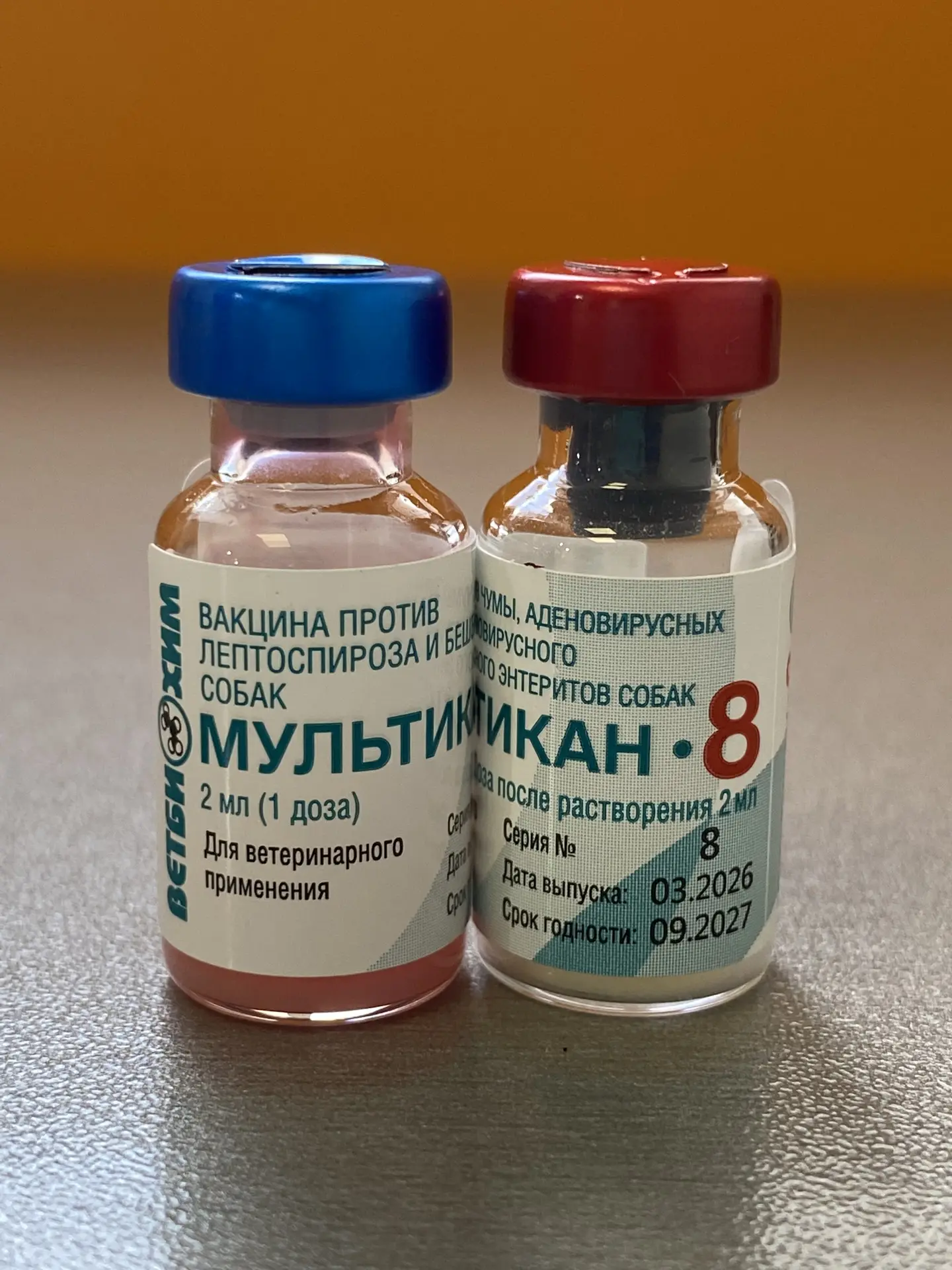 Владельцам домашних животных на заметку 📝