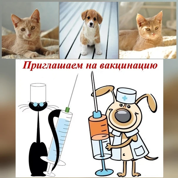 📌ВНИМАНИЕ ЖИТЕЛЕЙ ЗАХАРОВСКОГО ОКРУГА!!!