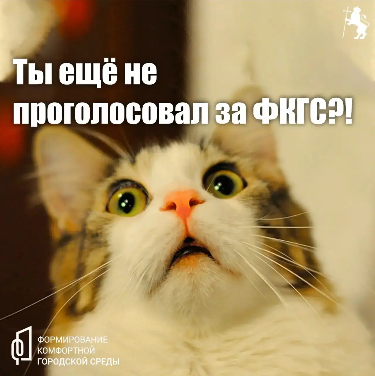 ✅ Выбираем будущее нашего города: какие общественные территории изменятся в 2027 году?  Владимир про