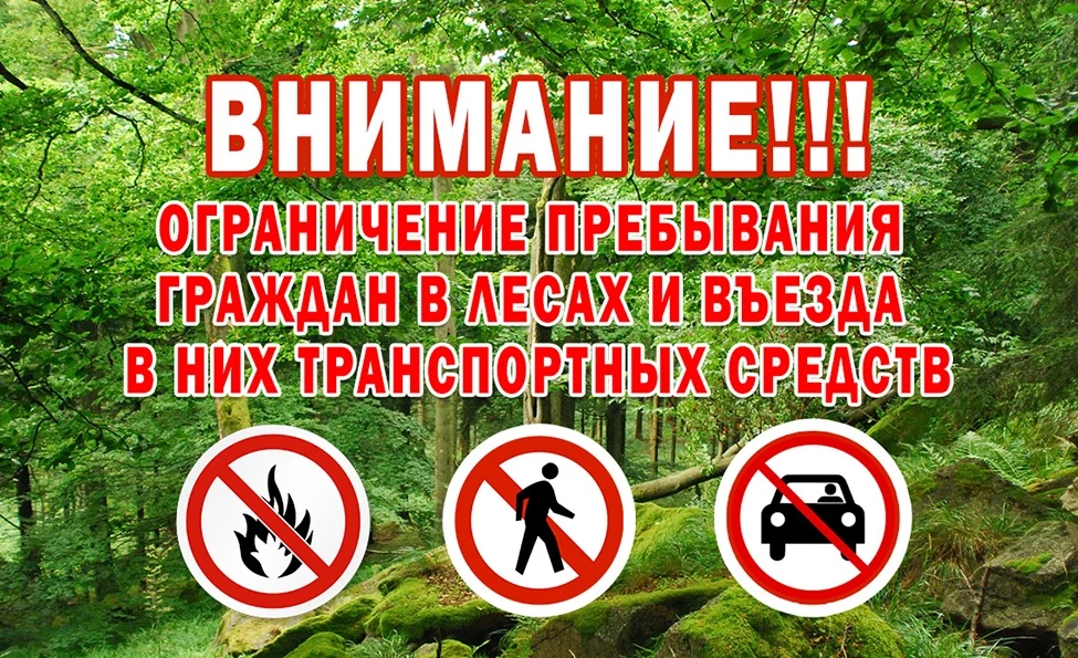 Август празднует в силу вошедшее лето. По прогнозам синоптиков, последний летний месяц ...