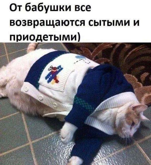 Приодетыми в теплые кофточки