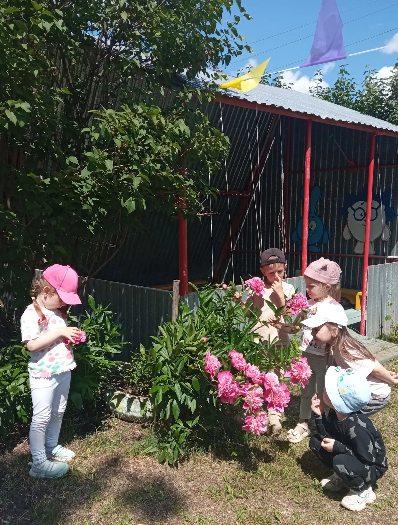 🌸Сегодня  мы с ребятами вышли на территорию нашего любимого детского сада, чтобы побли...