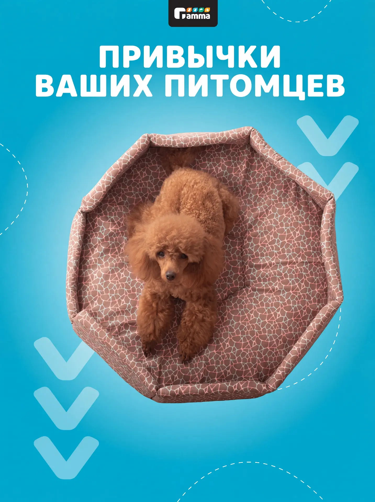 Как ваш питомец поднимает вам настроение?🔥