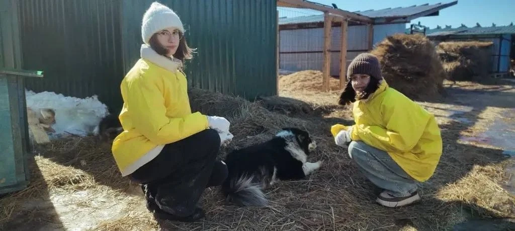 ❤️ Ученическая неделя добра в Югре  В рамках ученической недели добра в Югре наш волонтерский отряд 