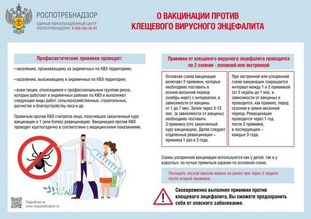 💬РЕКОМЕНДАЦИИ ГРАЖДАНАМ: О вакцинации против клещевого вирусного энцефалита