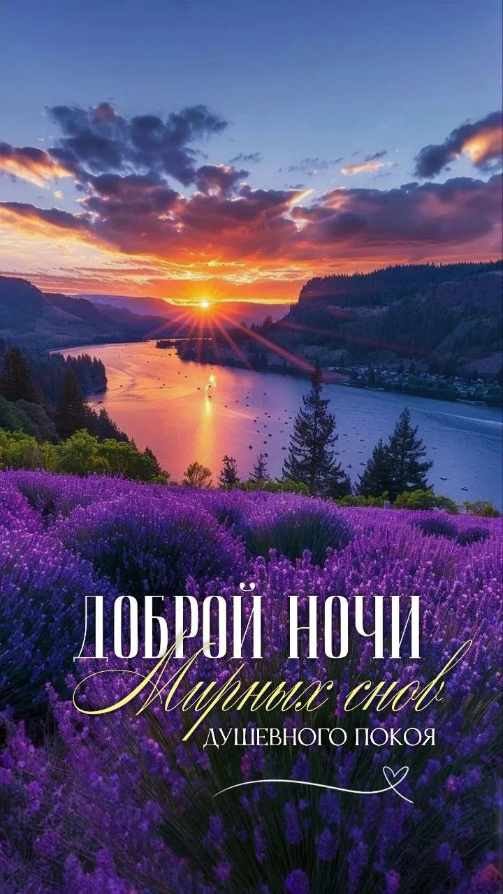 🥰 Оставляйте реакции, если понравилась открытка и делитесь с близкими ❤️

💌 Открытки 👉 Подписатьс