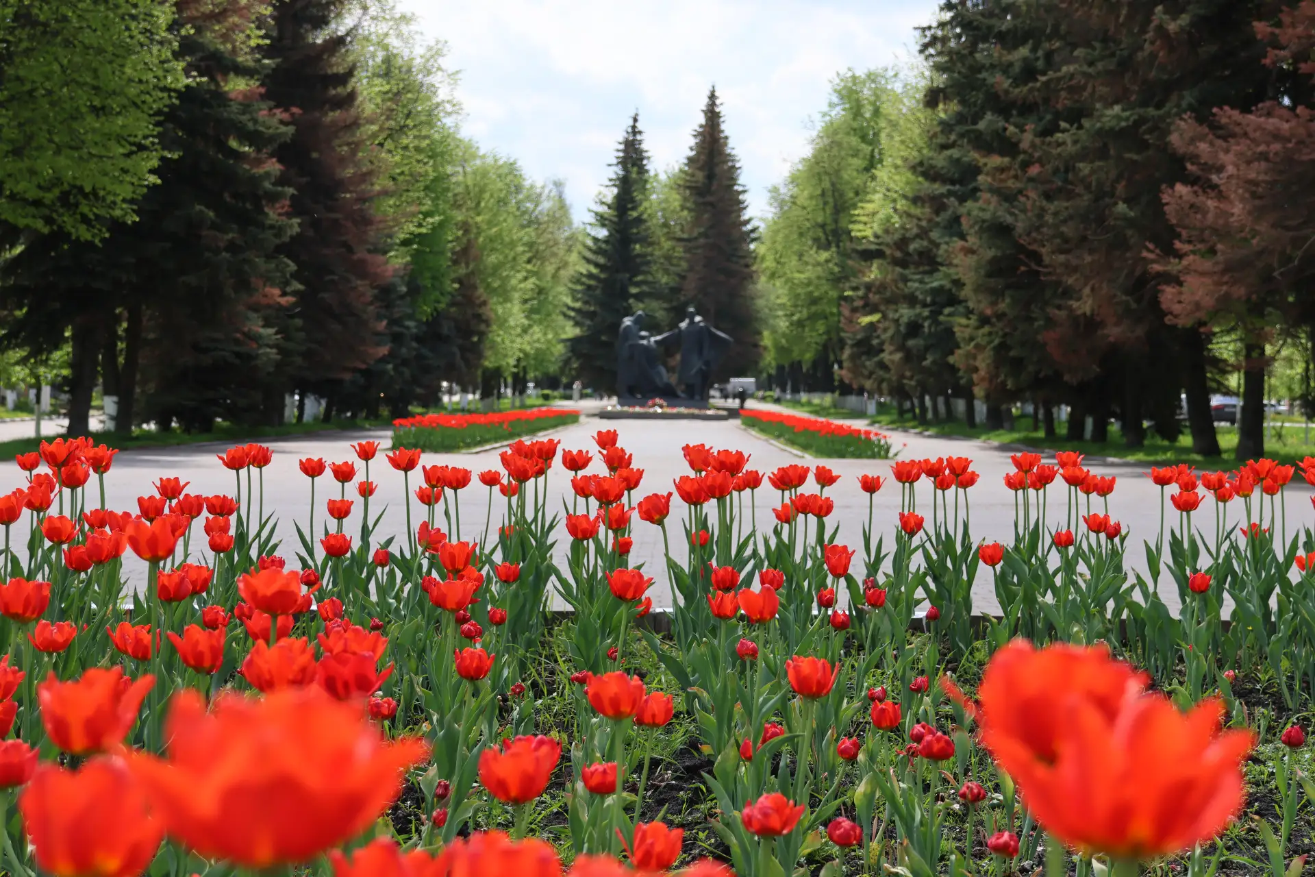 Новомосковск расцветает 😍  Тепло вернулось, а вместе с ним — вдохновение на прогулки. Успейте наслад