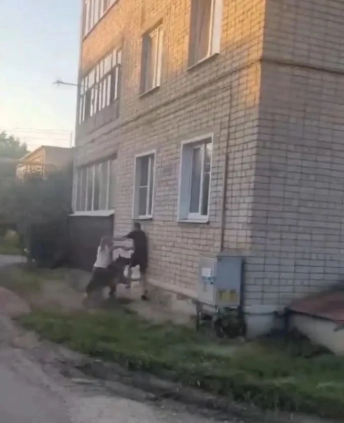 🐕 Продолжение истории о нападении собаки в Грязях: назначена судебно‑медицинская экспе...