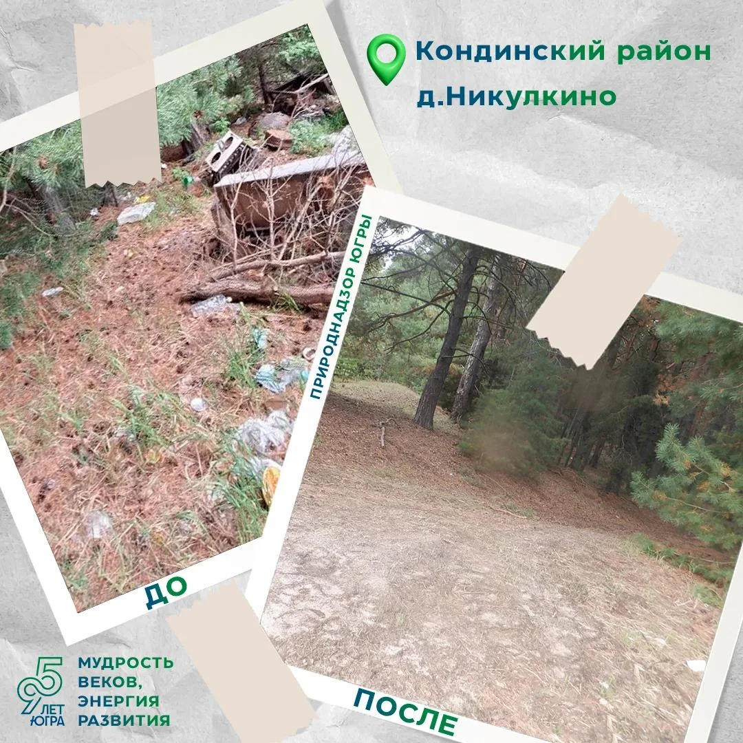 ✅ На труднодоступной территории Кондинского района в северном направлении от д. Никулки...