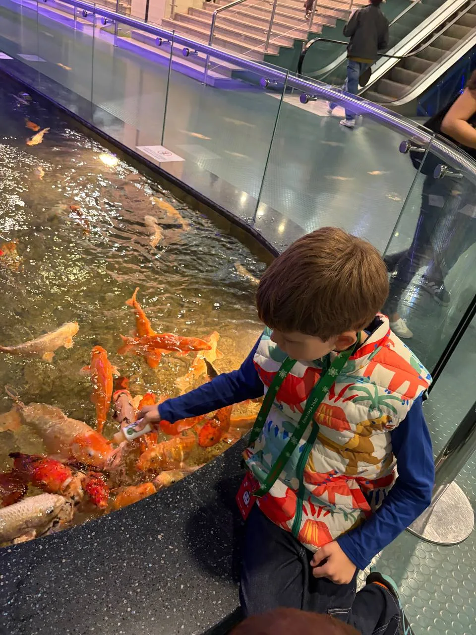 🐟🐠 Утро с медитации из Москвариума.