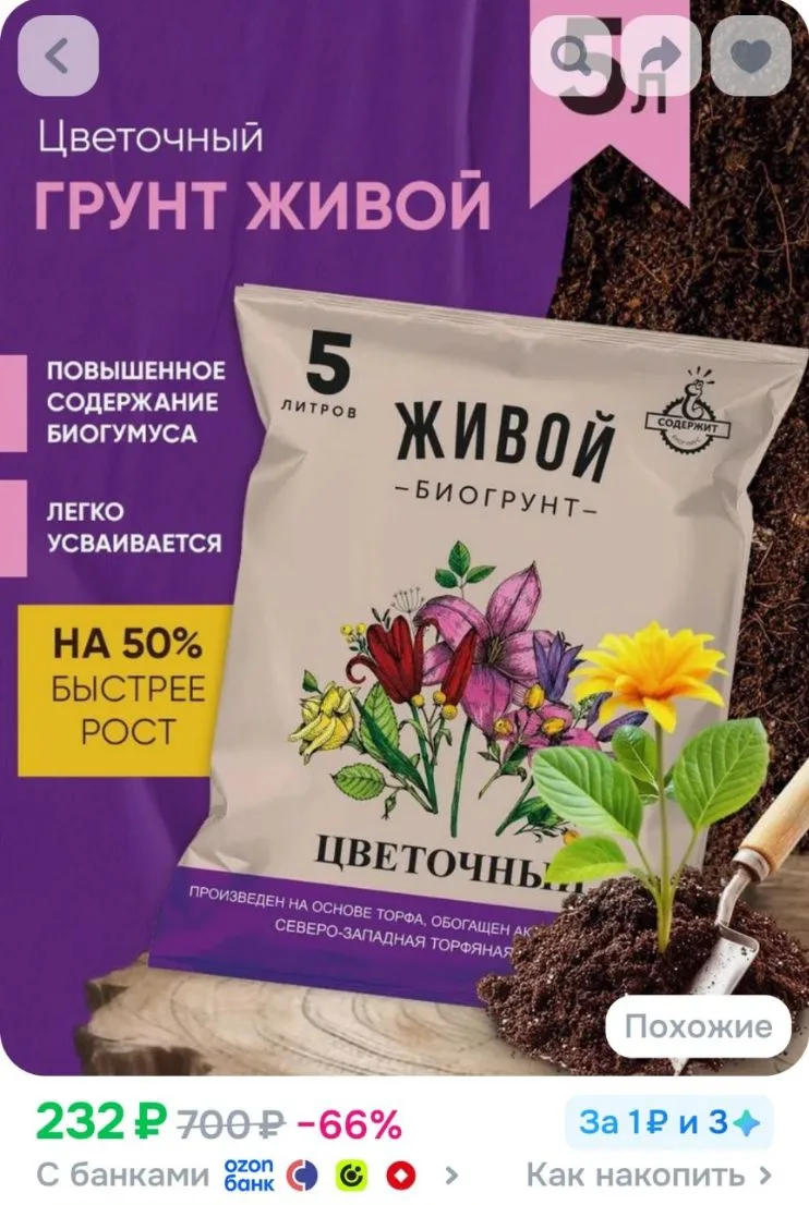 Грунт