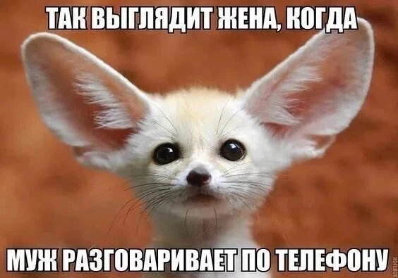 Ахахаха 🤣 Кто себя узнала, ставь сердечко 😎❤